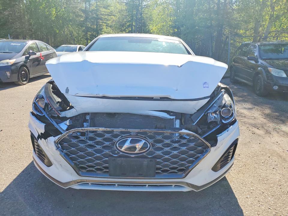 Продаж на аукціоні авто 2019 Hyundai Sonata, vin: 5NPE34AF7KH803921, номер лоту: 53109876