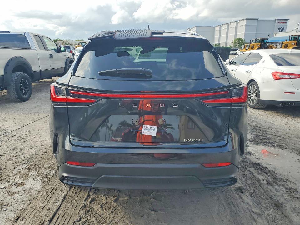 Продаж на аукціоні авто 2025 Lexus Nx 250, vin: 2T2ADCAZ4SC024183, номер лоту: 55281396