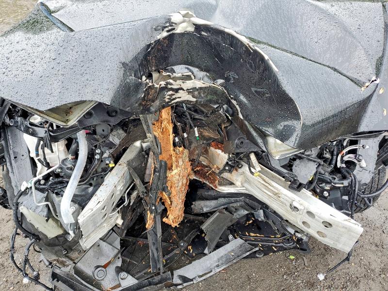 Aukcja sprzedaży 2025 Lexus Nx 350, vin: 2T2GGCEZ3SC060538, numer aukcji: 52766406