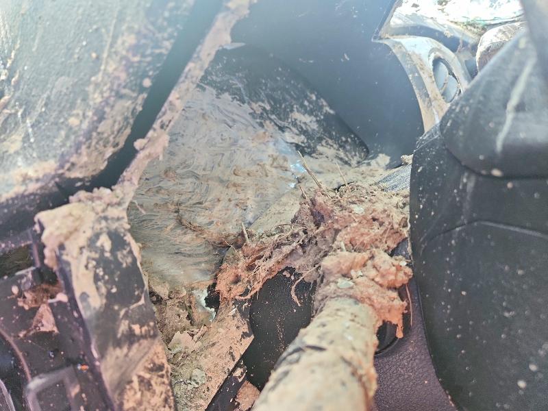 2020 Toyota Tundra მანქანა იყიდება აუქციონზე, vin: 5TFUY5F16LX896176, აუქციონის ნომერი: 52529746