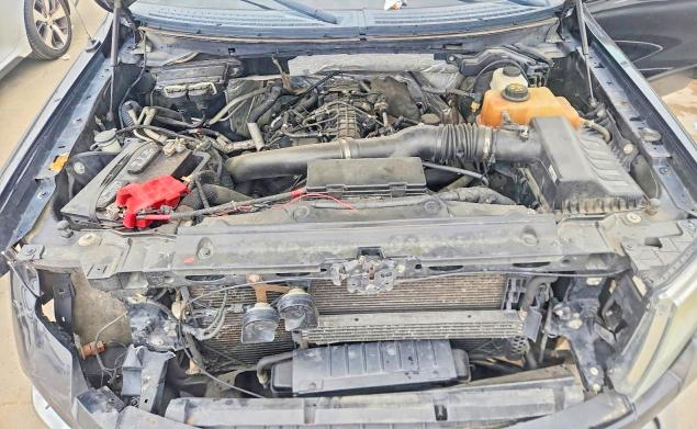 2013 Ford F150 მანქანა იყიდება აუქციონზე, vin: 1FTFW1ET3DFB62452, აუქციონის ნომერი: 54624886