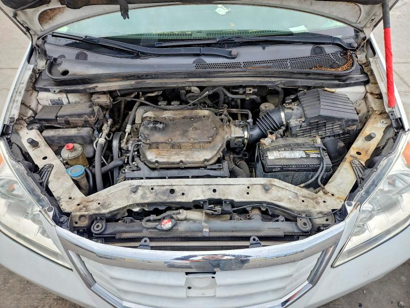 Продажа на аукционе авто 2009 Honda Odyssey, vin: 5FNRL38759B408607, номер лота: 54952286