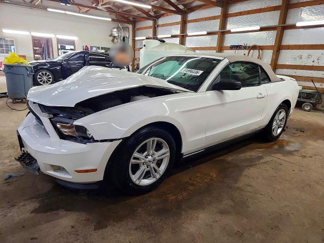 Продажа на аукционе авто 2011 Ford Mustang, vin: 1ZVBP8EM8B5148480, номер лота: 51896336