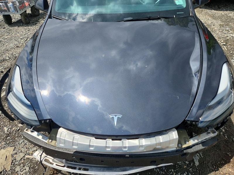 Продажа на аукционе авто 2024 Tesla Model Y, vin: 7SAYGDEF7RF043335, номер лота: 53627756