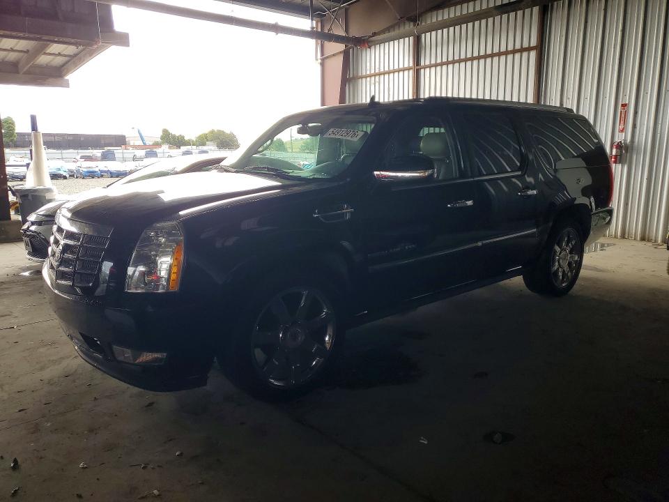 54912976 :رقم المزاد ، 1GYUCJEF4AR118622 vin ، 2010 Cadillac Escalade مزاد بيع