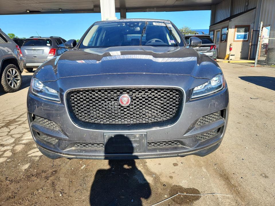 Продаж на аукціоні авто 2017 Jaguar F-pace, vin: SADCK2BV7HA898246, номер лоту: 53637326