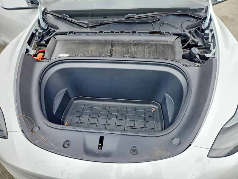 Продаж на аукціоні авто 2024 Tesla Model Y, vin: 7SAYGDEE6RF089603, номер лоту: 54885096