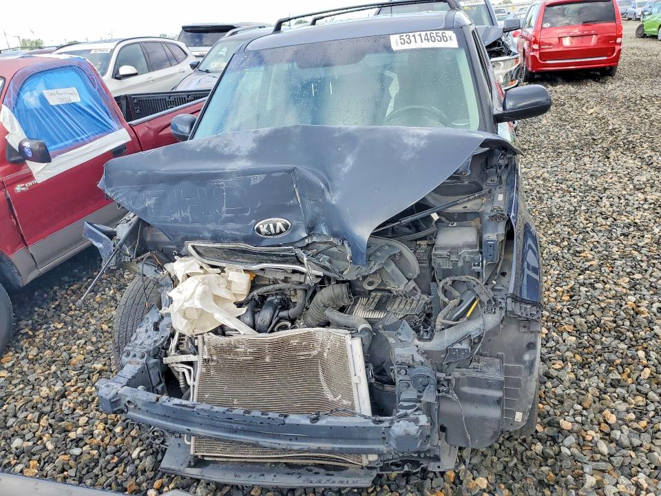 Aukcja sprzedaży 2016 Kia Soul, vin: KNDJP3A5XG7286534, numer aukcji: 53114656