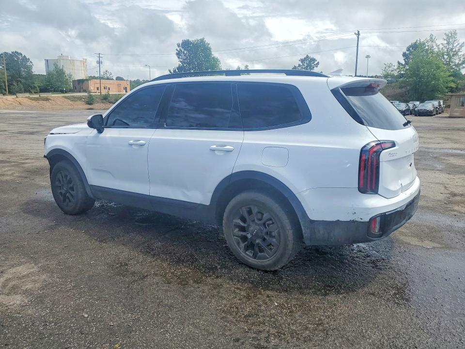 Продаж на аукціоні авто 2024 Kia Telluride, vin: 5XYP5DGC3RG553935, номер лоту: 52894236