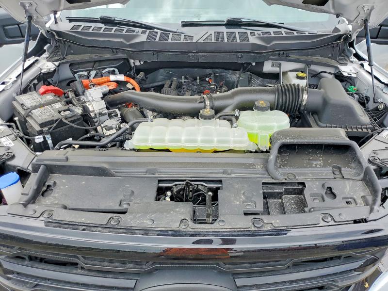 55042526 :رقم المزاد ، 1FTFW3LD3SFC02209 vin ، 2025 Ford F150 مزاد بيع