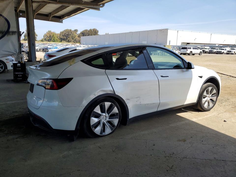 51356626 :رقم المزاد ، 5YJYGDED2MF116180 vin ، 2021 Tesla Model Y مزاد بيع