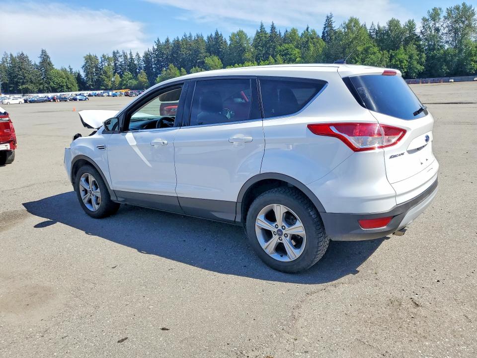 55570286 :رقم المزاد ، 1FMCU0GX4GUC83036 vin ، 2016 Ford Escape مزاد بيع