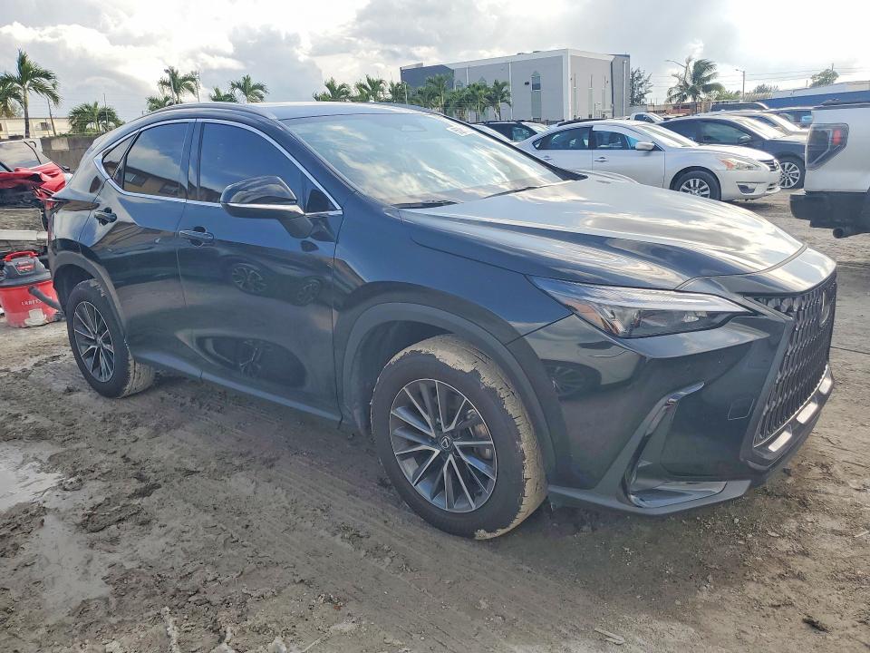 Продаж на аукціоні авто 2025 Lexus Nx 250, vin: 2T2ADCAZ4SC024183, номер лоту: 55281396