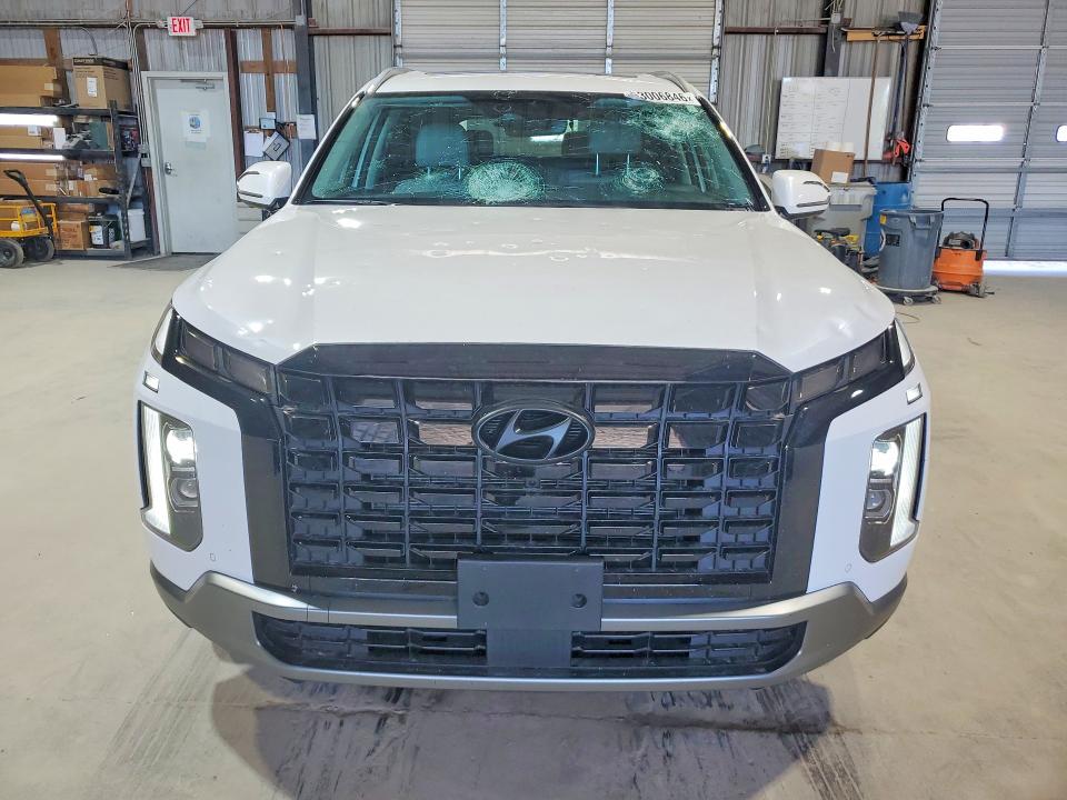 Aukcja sprzedaży 2025 Hyundai Palisade, vin: KM8R44GE8SU877119, numer aukcji: 53006846