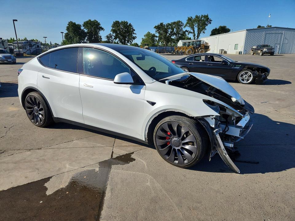 Продаж на аукціоні авто 2024 Tesla Model Y, vin: 7SAYGDEF1RF181551, номер лоту: 54600266