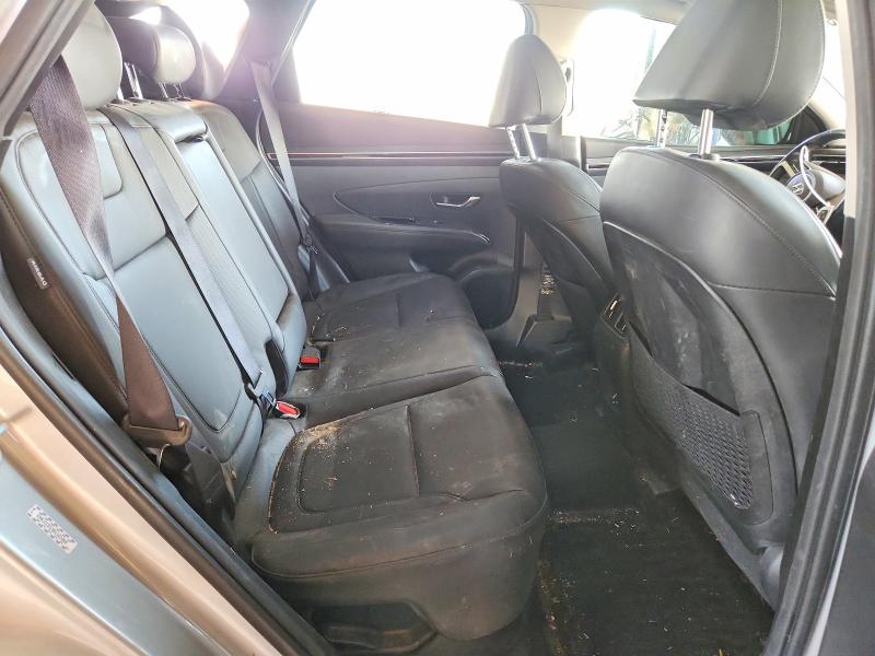 Продаж на аукціоні авто 2024 Hyundai Tucson, vin: KM8JCCD13RU161668, номер лоту: 54180396