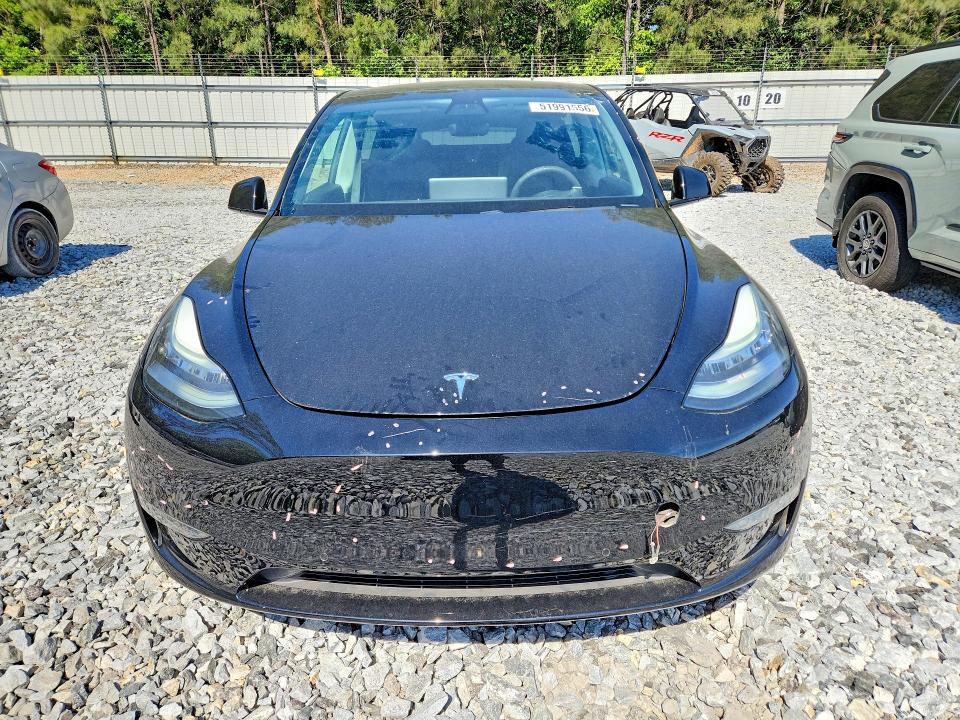 51991556 :رقم المزاد ، 5YJYGDEE1MF061939 vin ، 2021 Tesla Model Y مزاد بيع