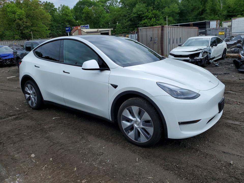 Aukcja sprzedaży 2024 Tesla Model Y, vin: 7SAYGDEE3RF083936, numer aukcji: 53823266