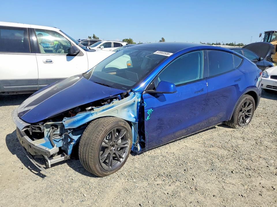 Auction sale of the 2025 Tesla Model Y, vin: 7SAYGDED1SF273957, lot number: 53993506