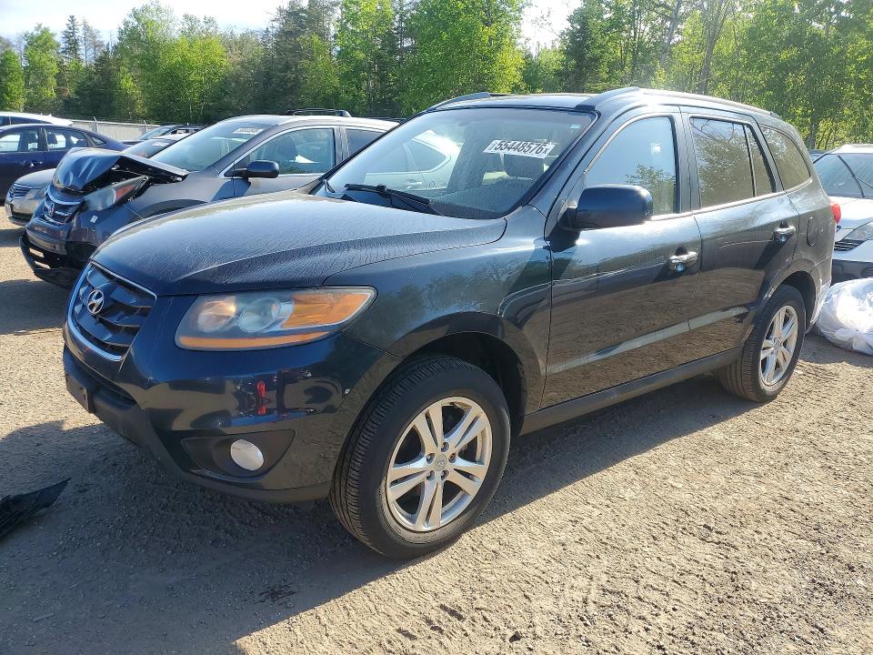 Продаж на аукціоні авто 2010 Hyundai Santa Fe, vin: 5NMSHDAG5AH409715, номер лоту: 55448576