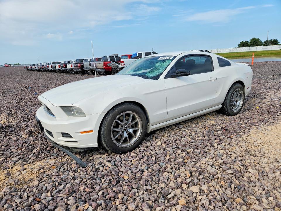 53794286 :رقم المزاد ، 1ZVBP8AM1D5269621 vin ، 2013 Ford Mustang مزاد بيع