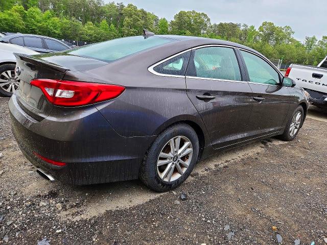 53266236 :رقم المزاد ، 5NPE24AF9HH563900 vin ، 2017 Hyundai Sonata مزاد بيع