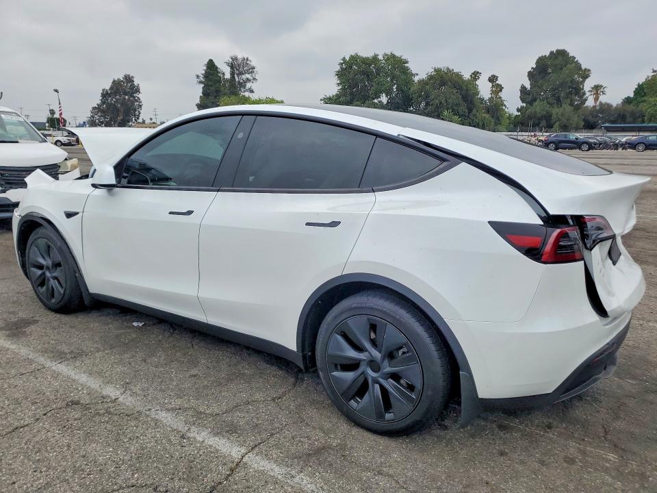 53589256 :رقم المزاد ، 7SAYGDED4RF204478 vin ، 2024 Tesla Model Y مزاد بيع
