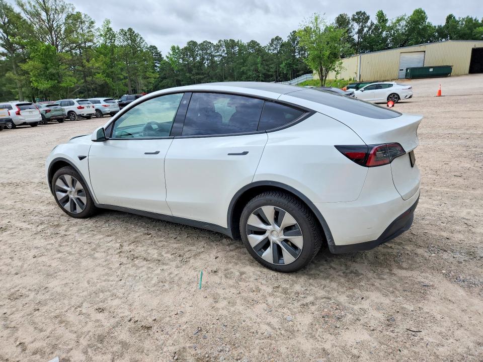 Продаж на аукціоні авто 2023 Tesla Model Y, vin: 7SAYGDEE4PF613022, номер лоту: 55204176