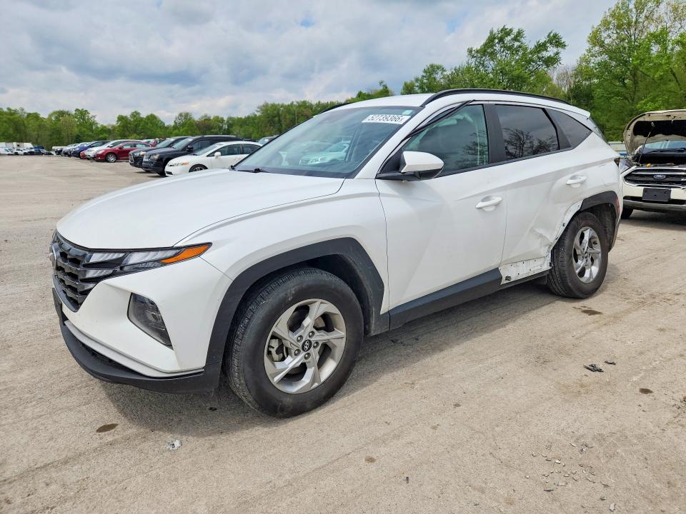 Продаж на аукціоні авто 2024 Hyundai Tucson, vin: 5NMJBCDE3RH329147, номер лоту: 52739366