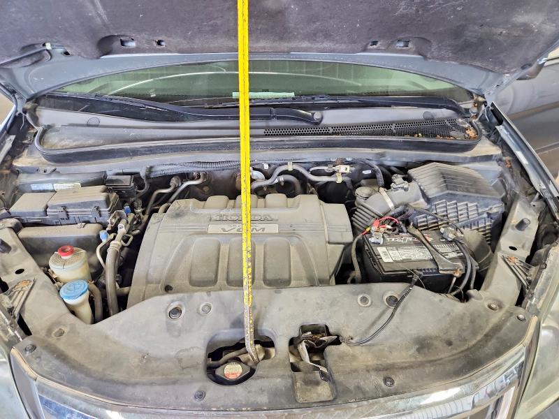 Продажа на аукционе авто 2009 Honda Odyssey, vin: 5FNRL38779B013425, номер лота: 55428956