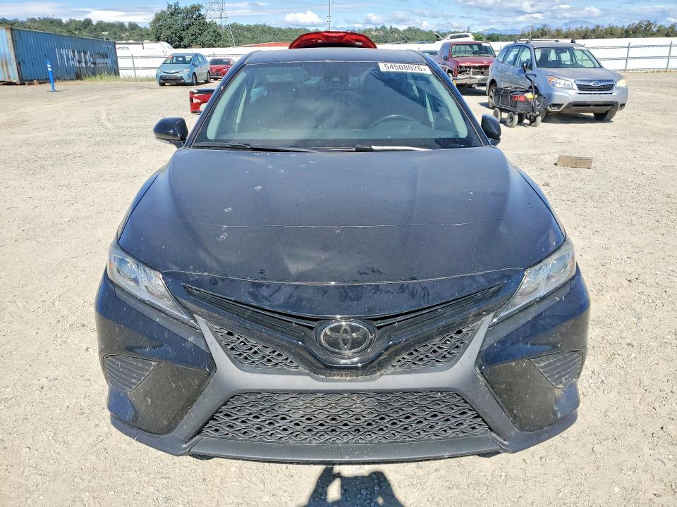 54508026 :رقم المزاد ، 4T1B11HKXKU795437 vin ، 2019 Toyota Camry مزاد بيع