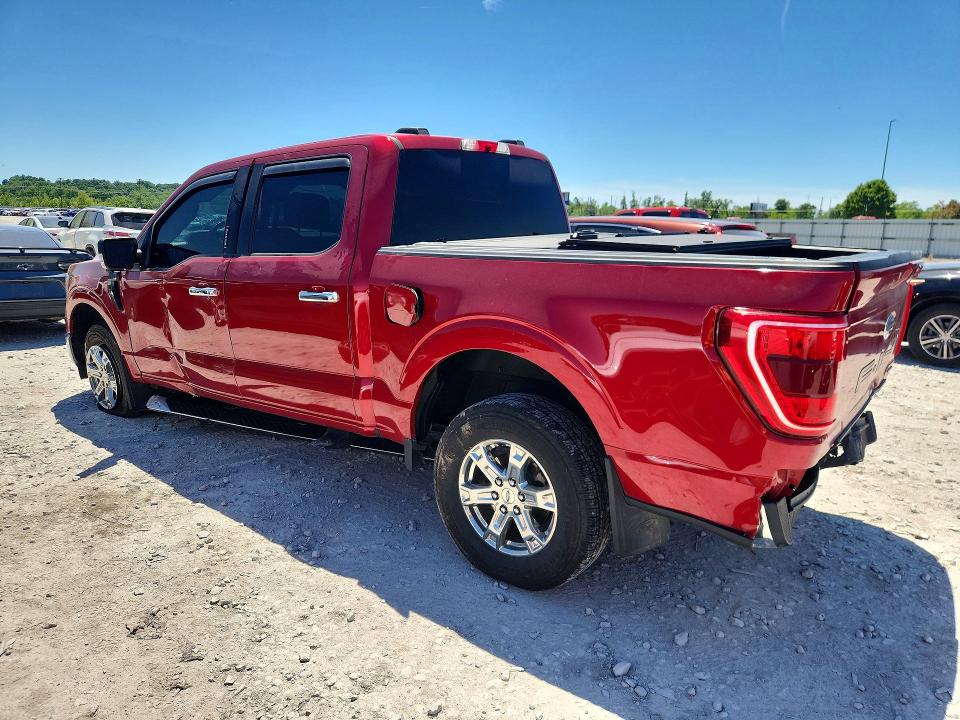 53598996 :رقم المزاد ، 1FTEW1EP4MFC25492 vin ، 2021 Ford F150 مزاد بيع