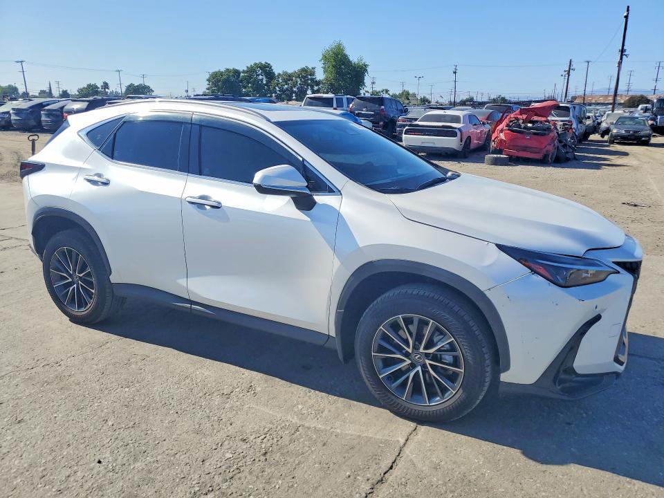 Продаж на аукціоні авто 2025 Lexus Nx 250, vin: JTJADCAZ6S5024491, номер лоту: 53434936