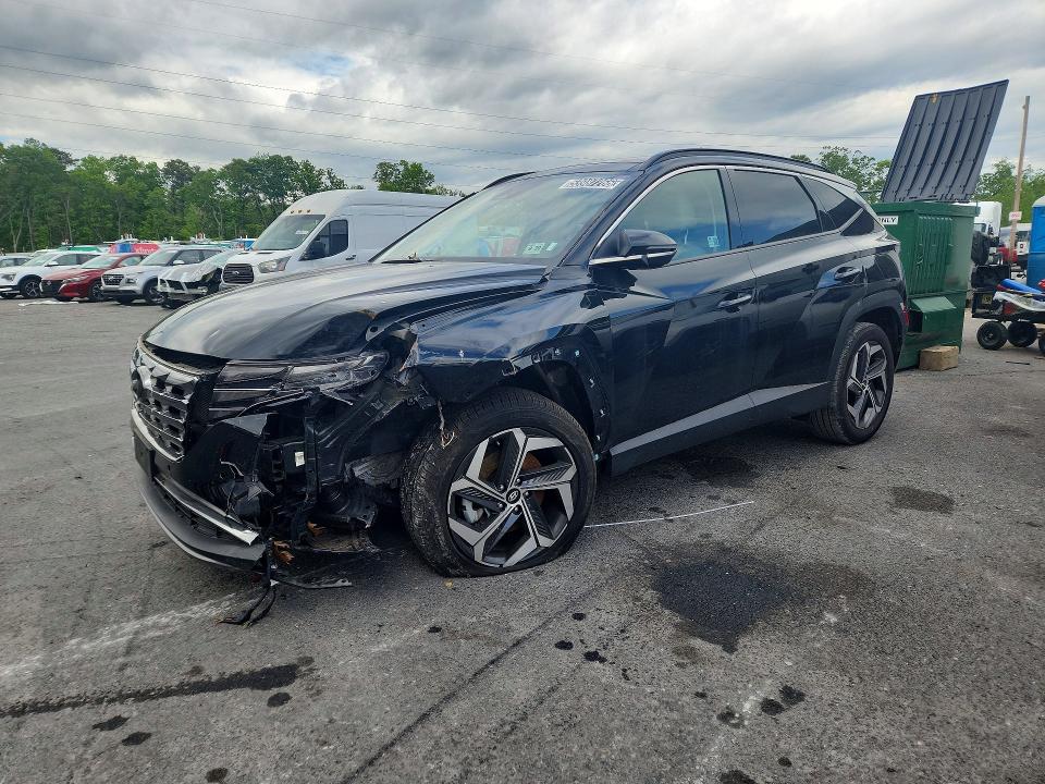 Продажа на аукционе авто 2024 Hyundai Tucson, vin: 5NMJECDE8RH329569, номер лота: 53987266
