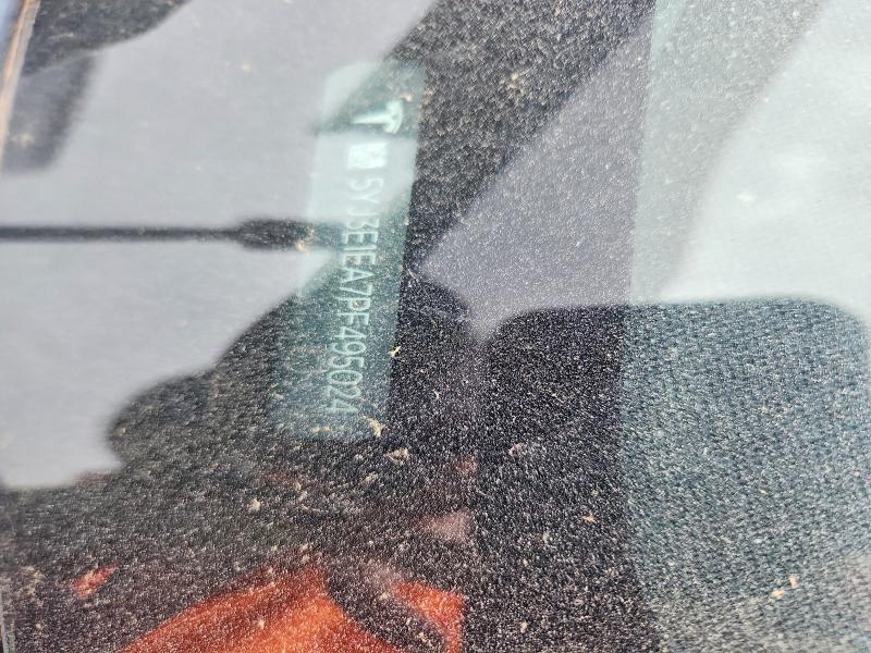 2023 Tesla Model 3 მანქანა იყიდება აუქციონზე, vin: 5YJ3E1EA7PF495024, აუქციონის ნომერი: 54140376