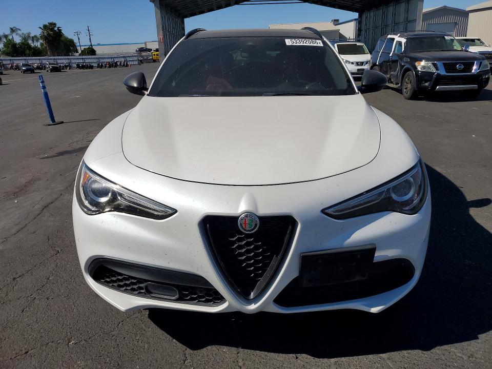 Продажа на аукционе авто 2019 Alfa Romeo Stelvio, vin: ZASPAKBN2K7C49398, номер лота: 53392086