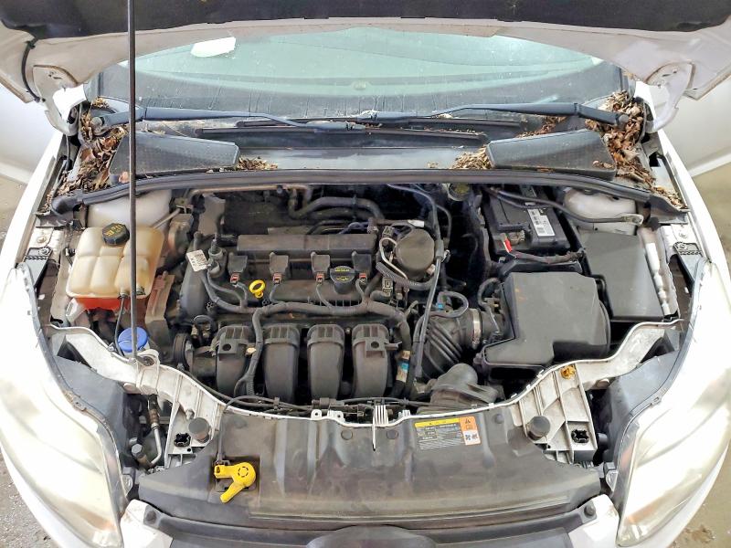 Продаж на аукціоні авто 2014 Ford Focus, vin: 1FADP3F20EL234027, номер лоту: 54545576