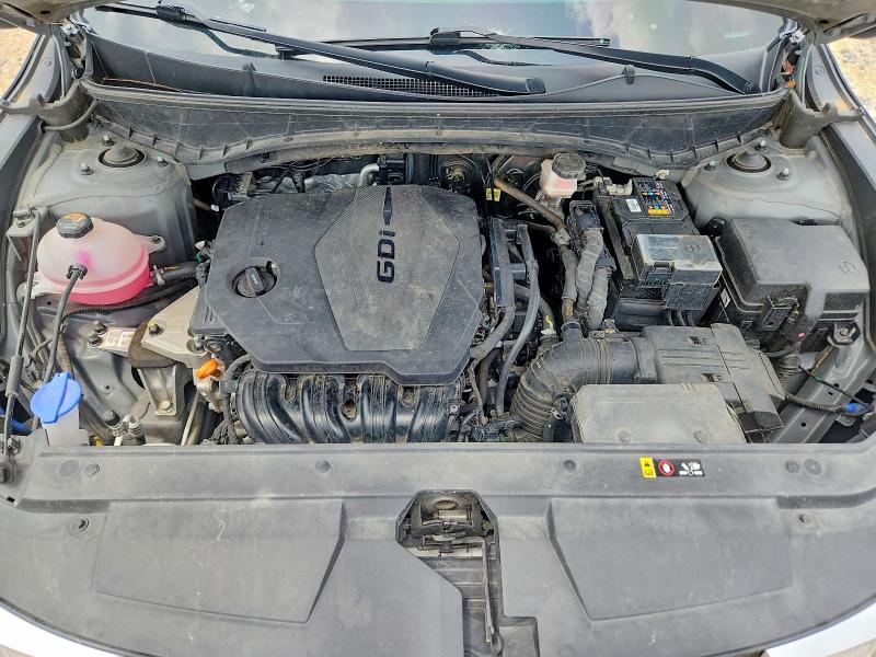 55002256 :رقم المزاد ، 5NTJBDAE9PH066917 vin ، 2023 Hyundai Santa Cruz مزاد بيع