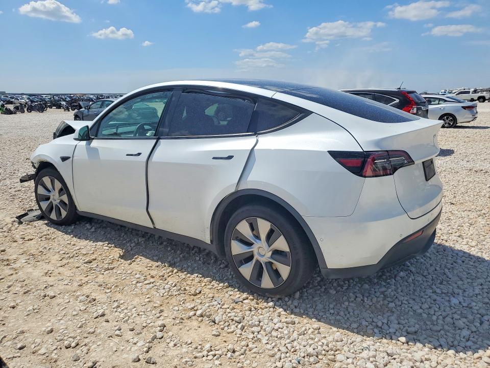 54264056 :رقم المزاد ، 5YJYGDEE6MF191330 vin ، 2021 Tesla Model Y مزاد بيع