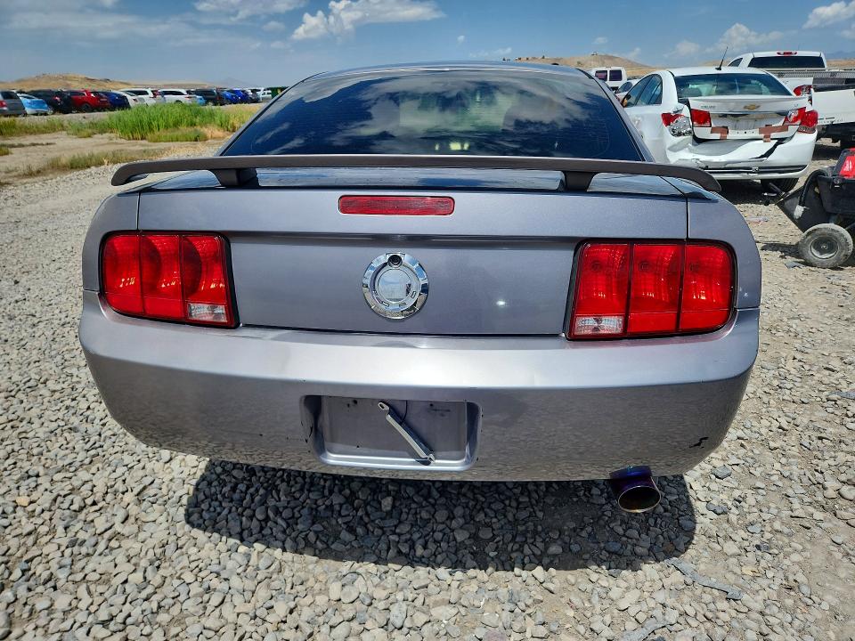 54917556 :رقم المزاد ، 1ZVFT80NX65177059 vin ، 2006 Ford Mustang مزاد بيع