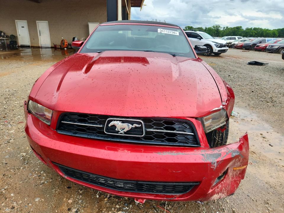 Продаж на аукціоні авто 2010 Ford Mustang, vin: 1ZVBP8ENXA5104861, номер лоту: 54113756