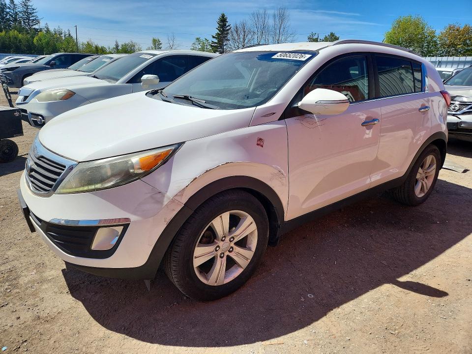 Продаж на аукціоні авто 2011 Kia Sportage, vin: KNDPC3A22B7175996, номер лоту: 50652026
