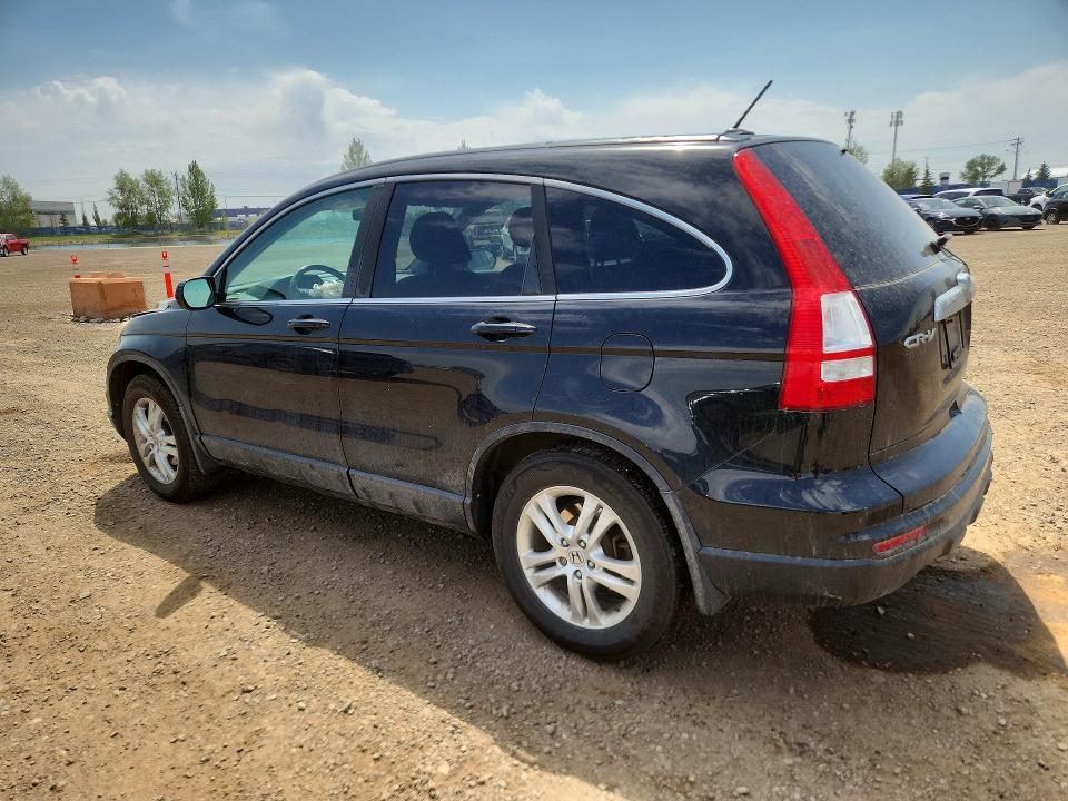 Продаж на аукціоні авто 2010 Honda Cr-v, vin: 5J6RE4H73AL813019, номер лоту: 55118766