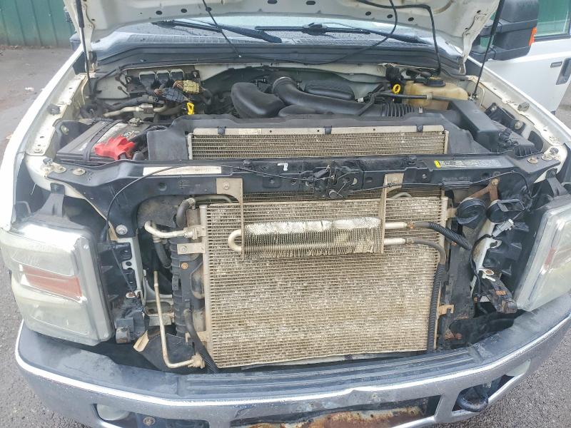 2009 Ford F250 მანქანა იყიდება აუქციონზე, vin: 1FTSX21549EA28538, აუქციონის ნომერი: 55111546