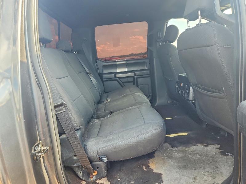 Продаж на аукціоні авто 2019 Ford F150, vin: 1FTEW1EP3KKE04577, номер лоту: 53162346