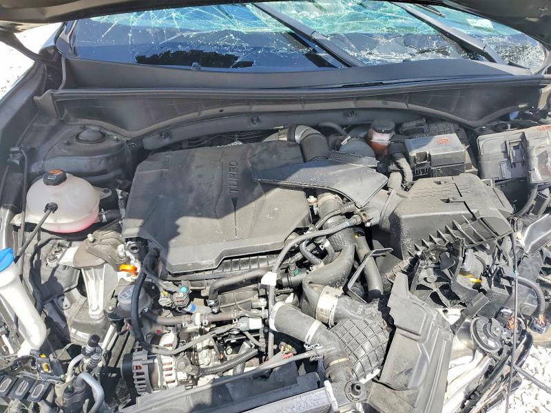 Aukcja sprzedaży 2023 Kia Sorento, vin: 5XYRKDLF5PG250282, numer aukcji: 52546936