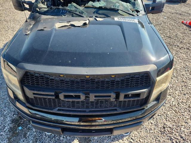 50985006 :رقم المزاد ، 1FTPW14V89FA51460 vin ، 2009 Ford F150 مزاد بيع