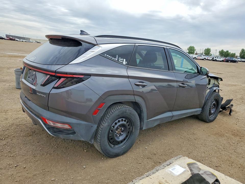 55114736 :رقم المزاد ، KM8JCCD17RU195788 vin ، 2024 Hyundai Tucson مزاد بيع