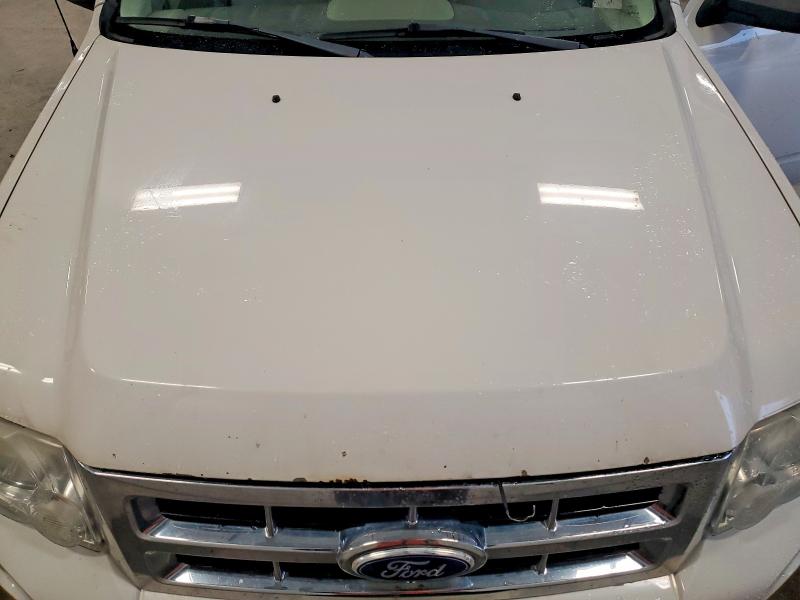 Продаж на аукціоні авто 2010 Ford Escape, vin: 1FMCU0D74AKA84396, номер лоту: 52810516