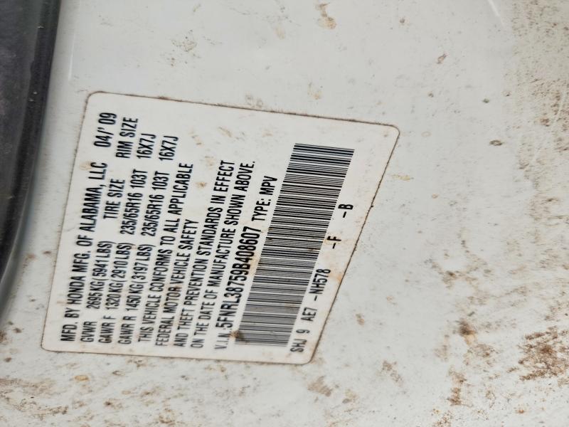 Продажа на аукционе авто 2009 Honda Odyssey, vin: 5FNRL38759B408607, номер лота: 54952286